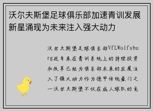 沃尔夫斯堡足球俱乐部加速青训发展新星涌现为未来注入强大动力